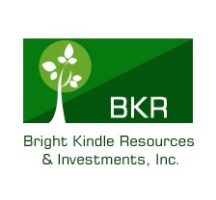 Bright Kindle Resources & Investments Inc. (BKR) logo