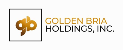 Golden MV Holdings, Inc. (HVN) logo