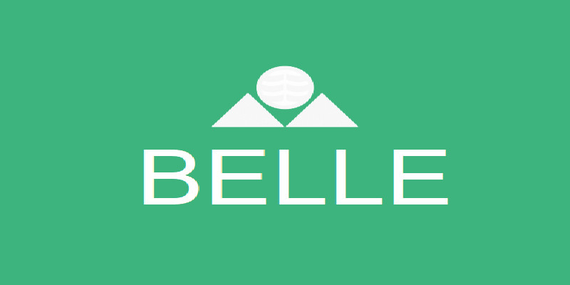 Belle Corp Reports 2024 Revenue Increase and Declares First Dividend in 2025